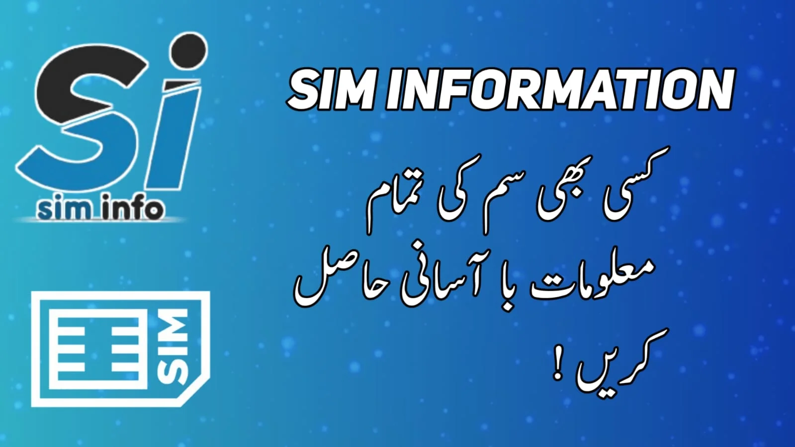 sim information