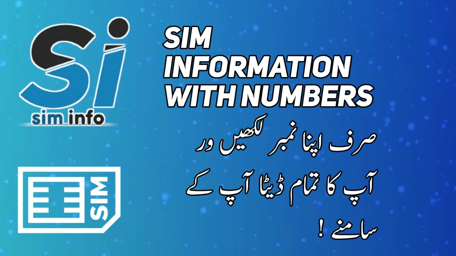 sim info with numbers
