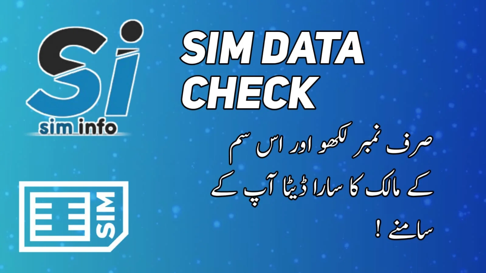 sim data check 