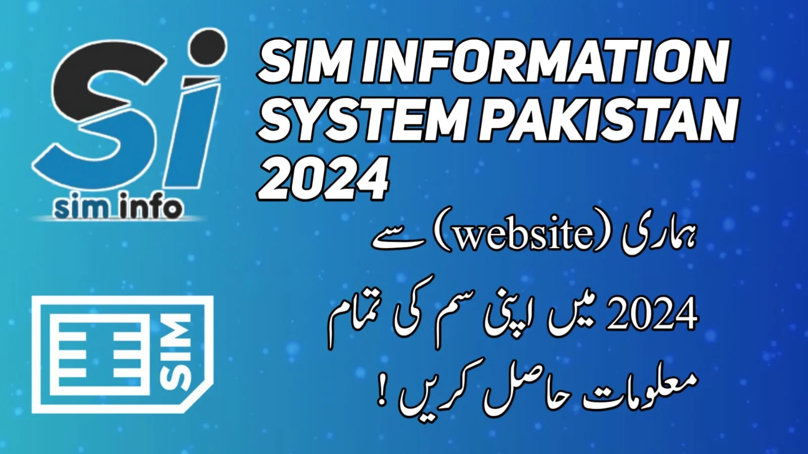 sim info system 2024